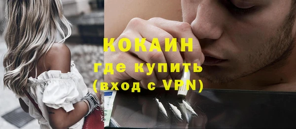 прущие грибы Осинники