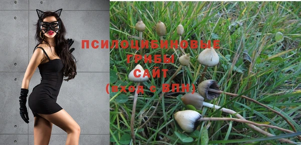 прущие грибы Осинники