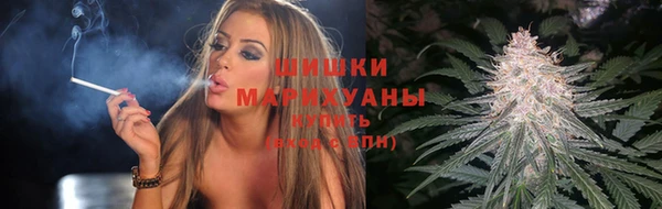 прущие грибы Осинники