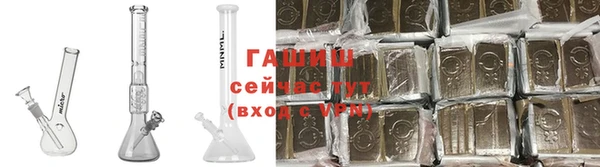 прущие грибы Осинники