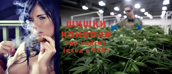 прущие грибы Осинники