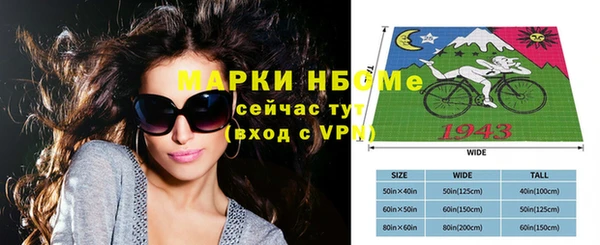 прущие грибы Осинники