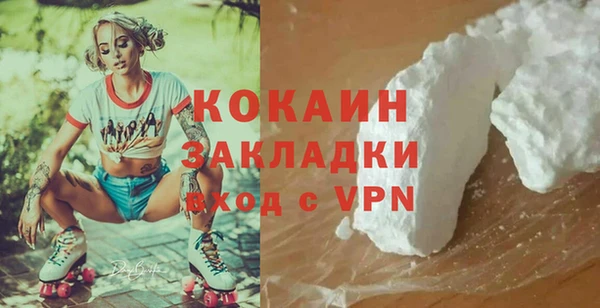 прущие грибы Осинники